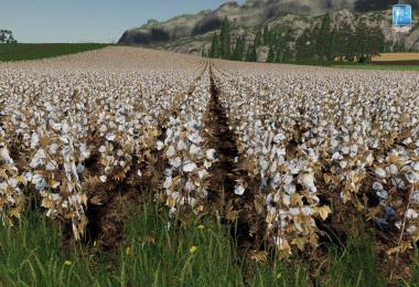 Forgotten Plants - Cotton v1.0.0