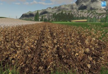 Forgotten Plants - Cotton v1.0.0