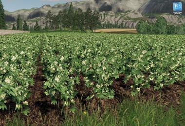 Forgotten Plants - Cotton v1.0.0