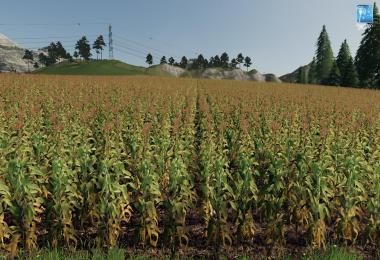 Forgotten Plants - Maize v1.0.0
