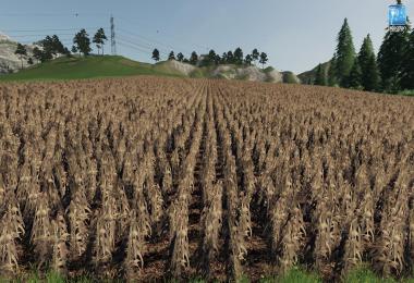 Forgotten Plants - Maize v1.0.0