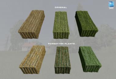 Forgotten Plants - Misc v1.0.0.0