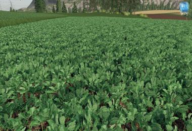 Forgotten Plants - Potato / Sugarbeet / Oilseed Radish v1.0