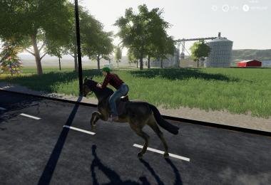 Oxford County 19 Beta