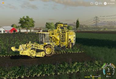 Oxford County 19 Beta