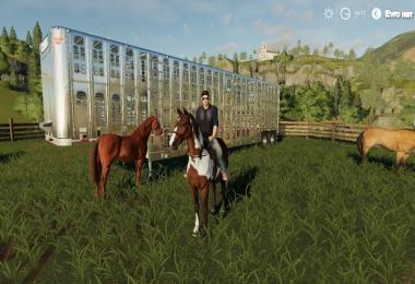 Silverstar Full v1.0.0.0