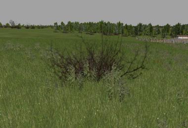FS17 DryBush v1.0.0.0