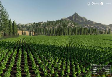 FS19 Fenton Forest Test map v2.0