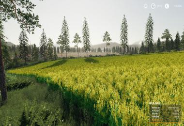 FS19 Fenton Forest Test map v2.0