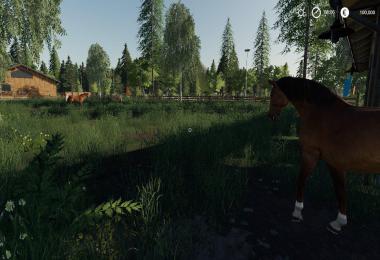 FS19 Fenton Forest Test map v2.0