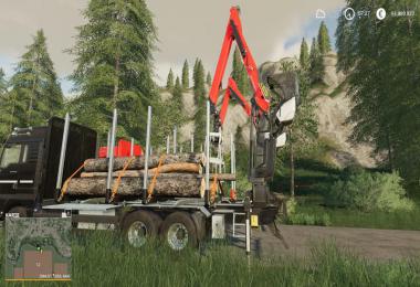 MAN FORST LKW v1.2.4