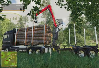 MAN HolzLkw v1.0.0.0