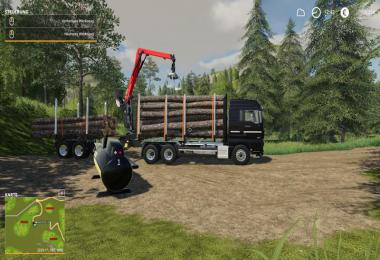 MAN HolzLkw v1.0.0.0