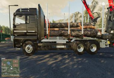 MAN HolzLkw v1.0.0.0