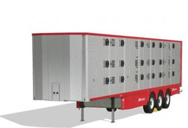 Michieletto AM19 OY MP v19.5