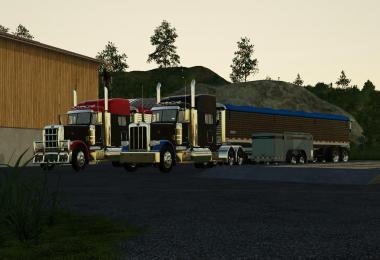 Peterbilt 389 2008 v1.0.0.0