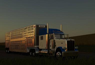 Peterbilt 389 2008 v1.0.0.0