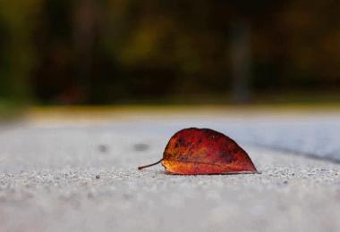 EmptyMap MultiFruits2 v1.0