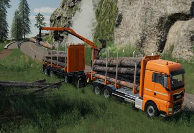 Fliegl Timber Wood Trailer v1.0.0.1