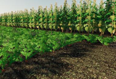 FS19 Felsbrunn Multifruit v1.0.0.0