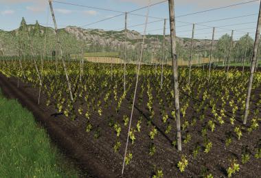 FS19 Felsbrunn Multifruit v1.0.0.0