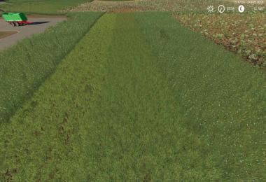 Grass Texture v1.0.0.0