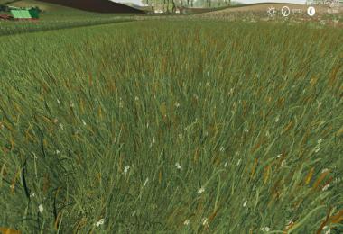 Grass Texture v1.0.0.0