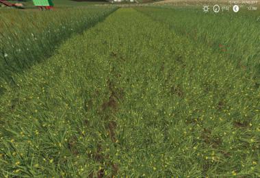 Grass Texture v1.0.0.0