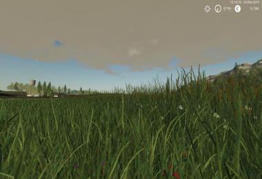 Grass Texture v1.0.0.0