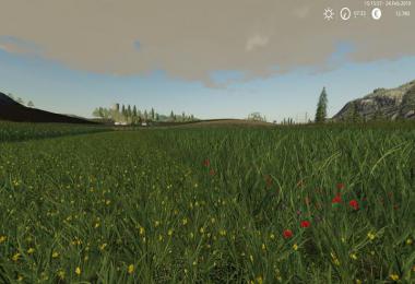 Grass Texture v1.0.0.0