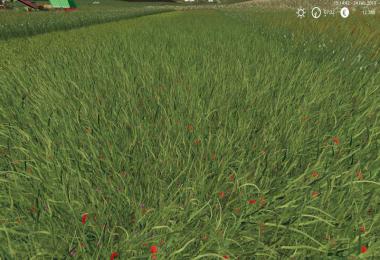 Grass Texture v1.0.0.0