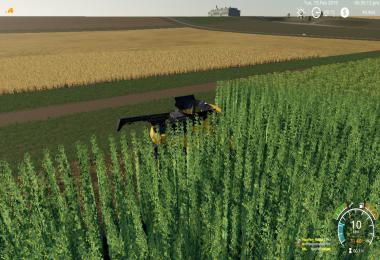 KIWI FARM STARTER MAP 4X Multi Fruit v1.3