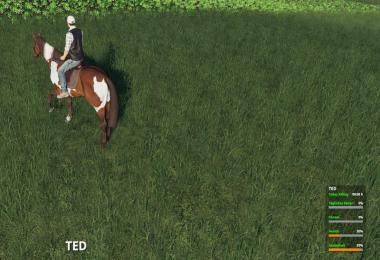 VehicleFruit Hud v0.53 Beta