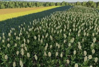 FS19 CloverCreek plus12crops v1.0.0.3