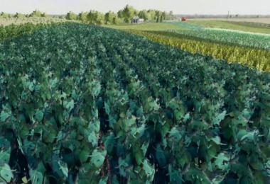 FS19 CloverCreek plus12crops v1.0.0.3