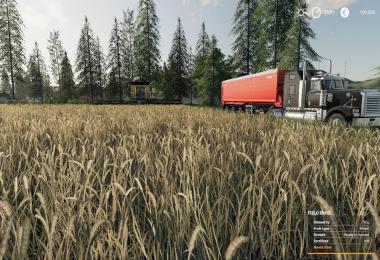 Fenton Forest V1.32 By Stevie