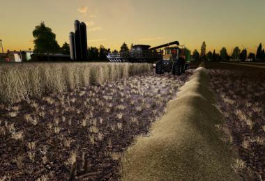 Nordfriesische Marsch v1.4.0