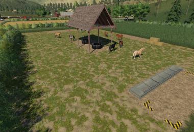 Placeable Open Horse pasture v1.0