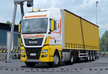 Skin BEL techno SERVICE for MAN TGX Euro6 1.34.x