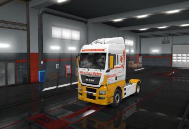 Skin BEL techno SERVICE for MAN TGX Euro6 1.34.x