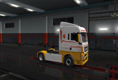 Skin BEL techno SERVICE for MAN TGX Euro6 1.34.x