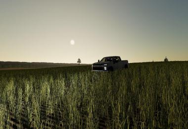 2020 Chevy Silverado 2500HD Duramax v1.0