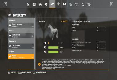 FS19 Goliszew v1.0.1