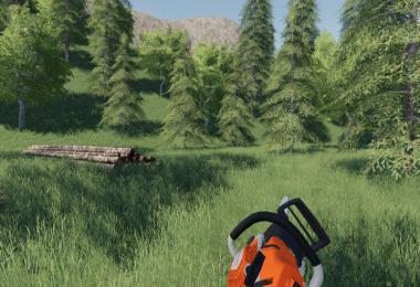 Best Village FS19 v1.0.0.0