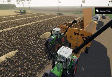 Coolamon Mother Bins 100T v1.0.0.0