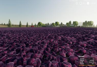 KIWI FARM STARTER MAP 4X MULTI FRUIT v3.0