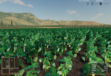 TAYLORS FARM 12 added fruits v1.4