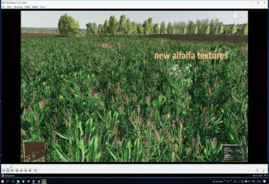 FS19 Goliszew PATCH v1.0.1