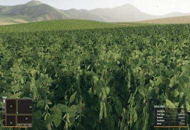 HAWKE'S BAY NZ MAP V1.4b