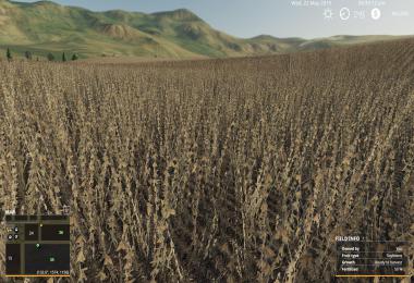 HAWKE'S BAY NZ MAP V1.4b
